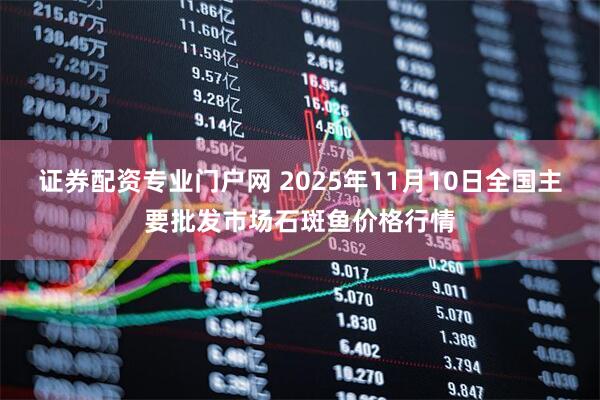 证券配资专业门户网 2025年11月10日全国主要批发市场石斑鱼价格行情